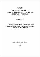 2007 - Marco Aurélio Soares Pinheiro.pdf.jpg