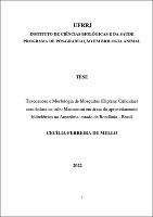 2022 - Cecília Ferreira de Mello.pdf.jpg